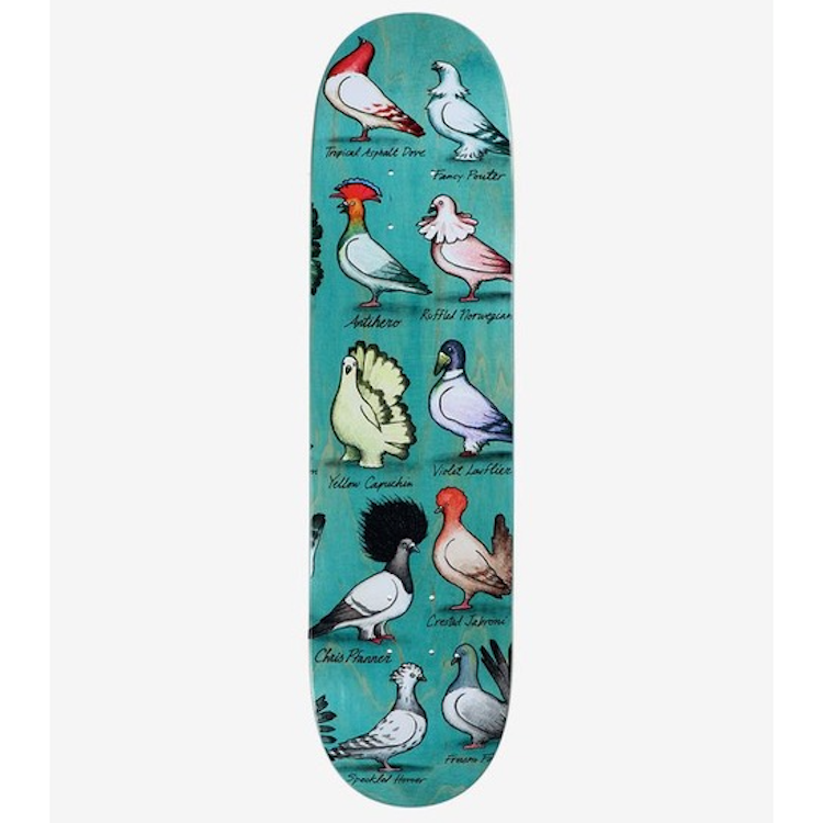 Anti Hero Skateboards Chris Pfanner Show Pigeons Skateboard Deck