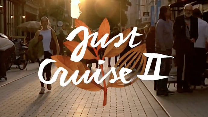 "Just Cruise 2" Magenta Skateboards