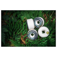 OJ Wheels Eric Dressen Spider Pro Elite Chubbies Skateboard Wheels 101a 56mm