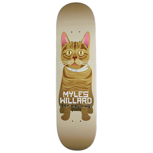 Toy Machine Myles Willard Cat Skateboard Deck 8.13"