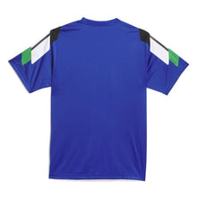 Adidas Skateboarding Brasil Power Of Three Aeroready Jersey T-Shirt Royal Blue