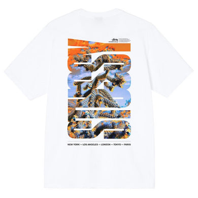 Stussy Desert Sky T-Shirt White