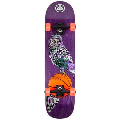 Welcome Skateboards Hooter Shooter Complete on Bunyip Complete Skateboard 8