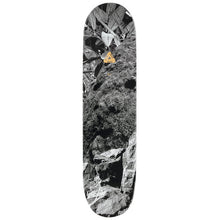 Palace Skateboards Brady Pro S29 Skateboard Deck 8.1"