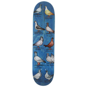 Anti Hero Skateboards Daan Van Der Linden Show Pigeons Skateboard Deck 8.38"