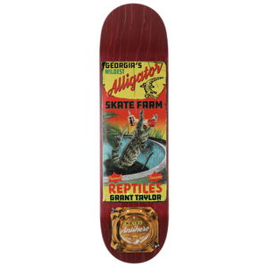 Anti Hero Skateboards Taylor Motel 18 Skateboard Deck 8.62" (Various Woodstains)