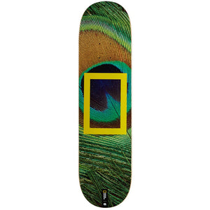 Element X National Geographic Peacock Skateboard Deck 8"