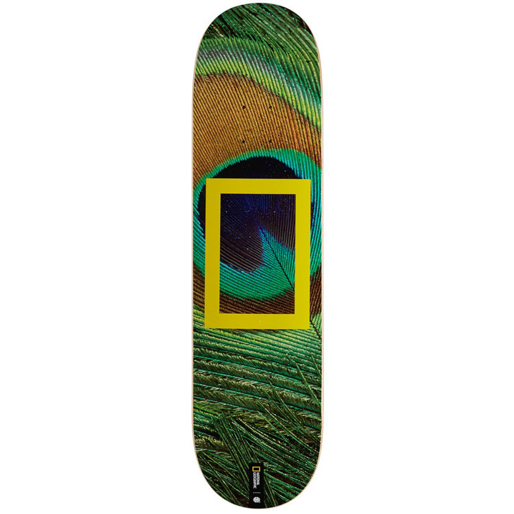 Element X National Geographic Peacock Skateboard Deck 8
